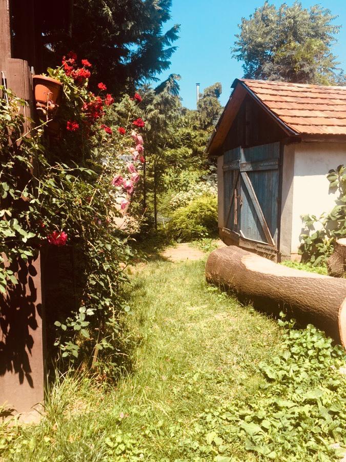 Rózsakert Panzió Hotel Nyíregyháza Exterior foto